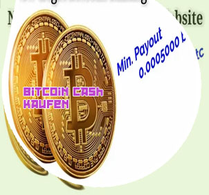 Wie kaufe ich bitcoin cash
